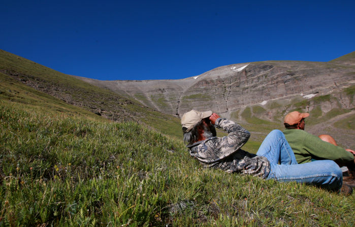 Grizzly Moth Site